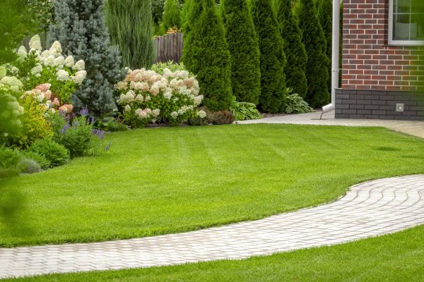 Landscape Walkway Installation in Clovis